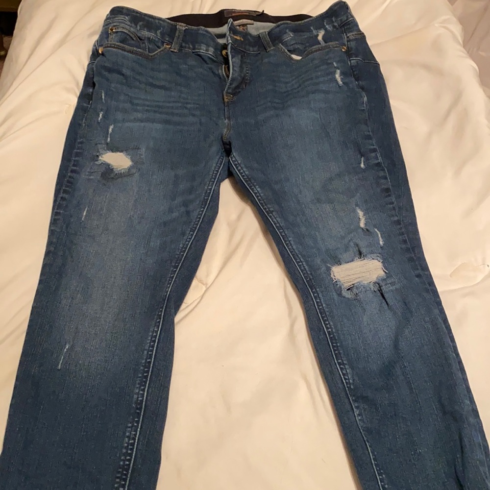 Torrid Jeans